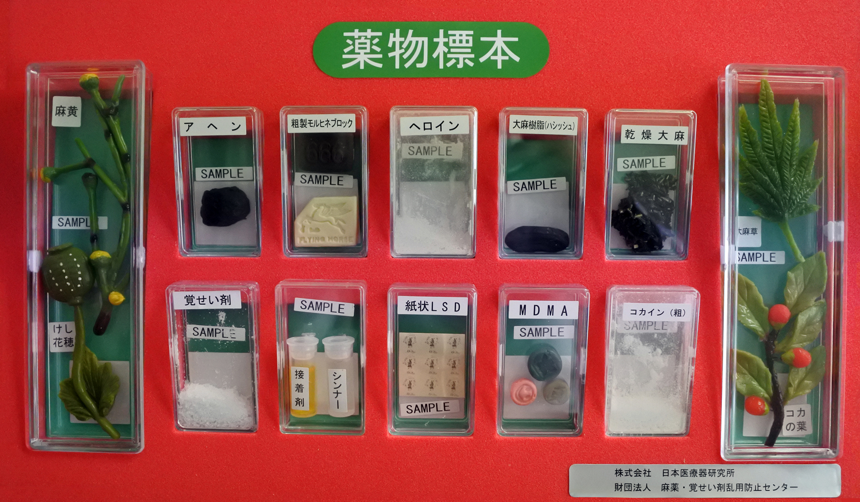 薬物標本【B】