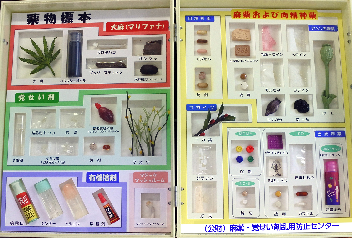 薬物標本【A】